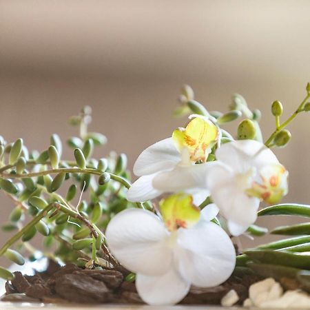 Villa Orselina - Small Luxury Hotel Muralto ภายนอก รูปภาพ